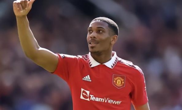 供了可借鉴 供了可借鉴