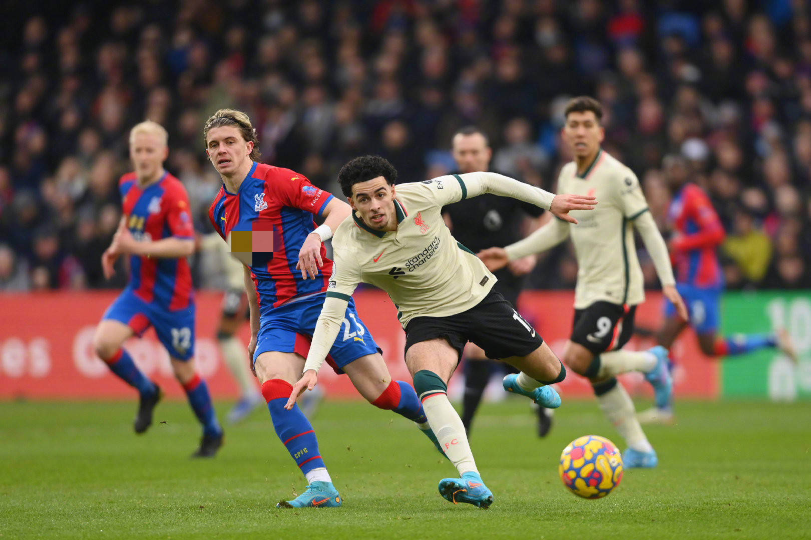 对郭嘉璇的 对郭嘉璇的